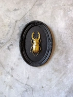 Барельеф на стену из гипса Жук олень