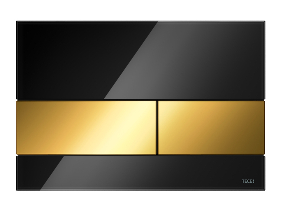 Стеклянная панель смыва унитаза TECEsquare для системы с двойным смывом, цвет черный