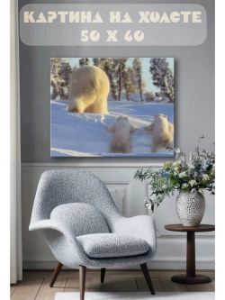 Картина на стену 40 X 50 Белые медведи