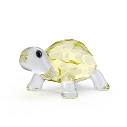 IDYLLIA:BABY TORTOISE