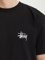 Мужская Футболка Basic Stussy Pig. Dyed