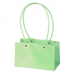 Пакет для цветов ПРЯМОУГОЛЬНЫЙ 22*10,5*13,5 СВЕТЛЫЙ