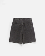 Шорты Anteater BaggyShorts-Grey