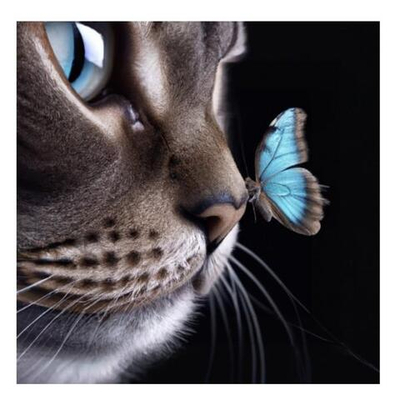 Алмазная мозаика 20*20см. блест. на картоне "Кот и бабочка" с част. заполн. 12цв. (Арт. НД-0903)