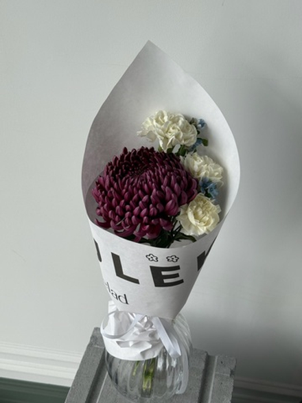 Кулек из одноголовой хризантемы, диантусов и оксипеталума