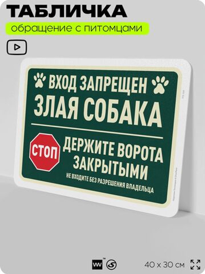 Табличка "Вход запрещен, злая собака" на дверь и забор, для двора, дома, подъезда, 40х30 см, Silver Plane x Айдентика Технолоджи