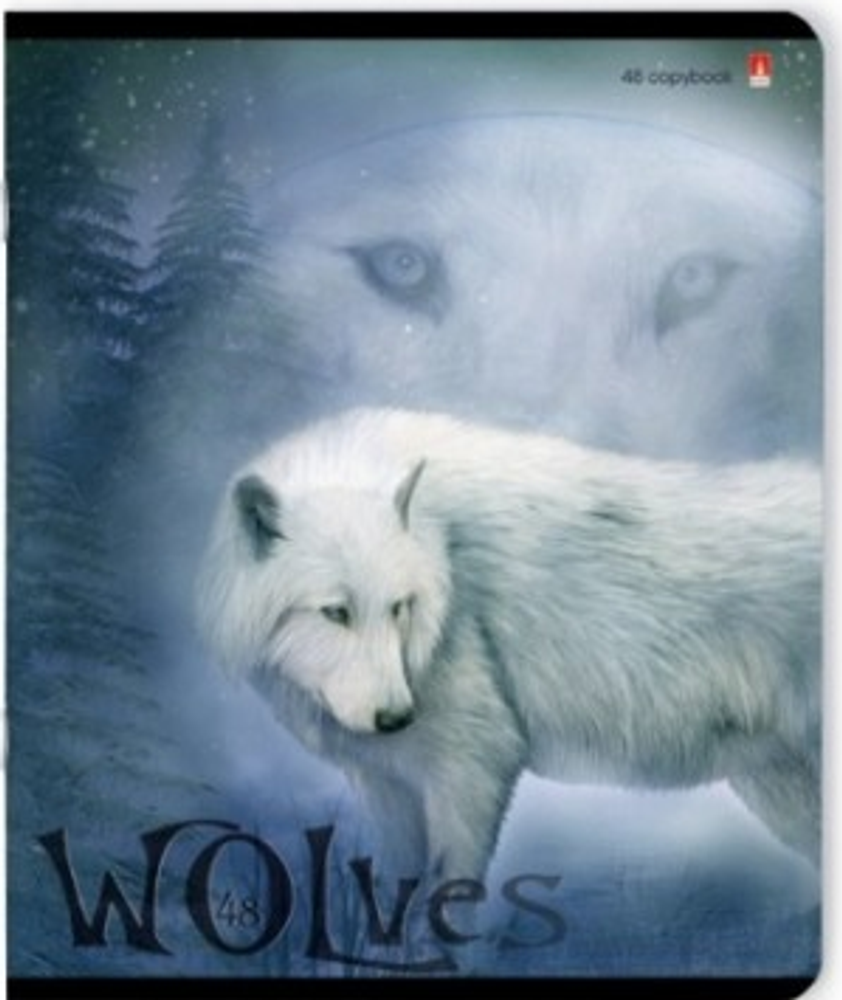 Тетрадь Волк белый ( 48 листов )
