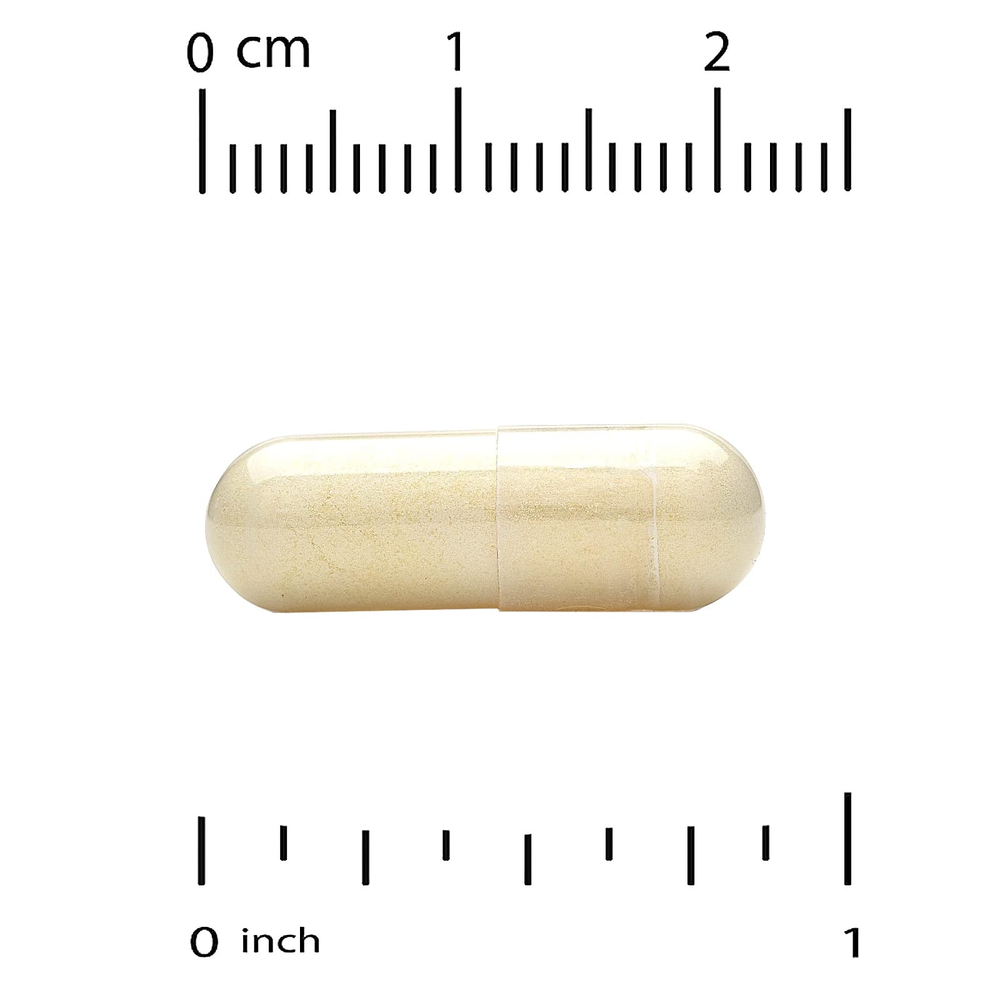 California Gold Nutrition, маточное молочко, сублимированный концентрат, 500 мг, 120 растительных капсул