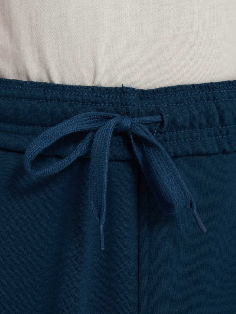 Брюки спортивные мужские THE NORTH FACE M PANT VARSITY GRAPHIC