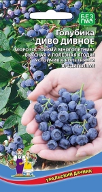 Семена Голубика Диво дивное (УД) Е/П