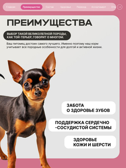 Корм сухой для взрослых собак породы Той-терьер, с говядиной, 800 гр, QUATTRO