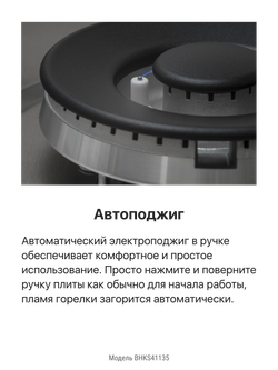 Газовая панель Hansa BHKS41135
