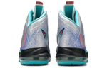 Кроссовки Nike Lebron 10