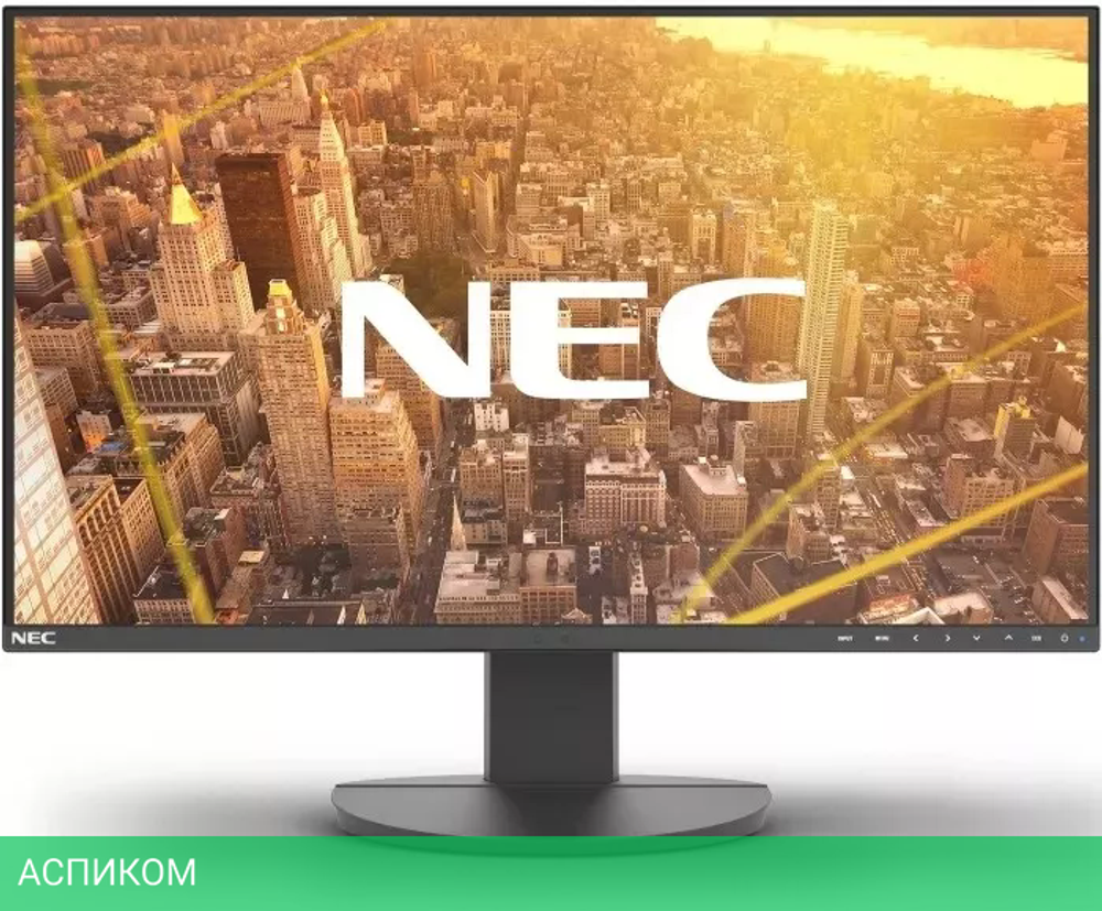 Монитор NEC MultiSync EA242F (черный)