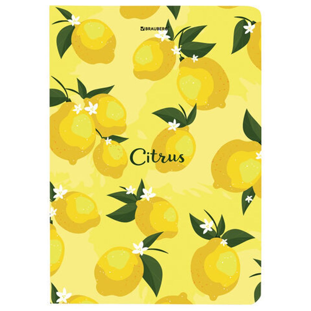 Блокнот с резинкой без линовки 96 л., А5 (145х203 мм), твердая обложка, BRAUBERG, "Lemons", 113727