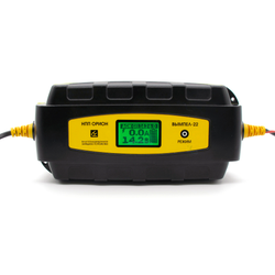 Зарядное устройство Вымпел 22 (2-6А,14.2-16В, IP65) десульфатирующее