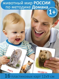 Карточки для малышей развивающие "Животный мир России" логопедические карточки на развитие и запуск речи ребенка.