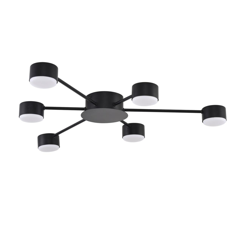 Потолочная люстра Lumion TORINA 8344/6C