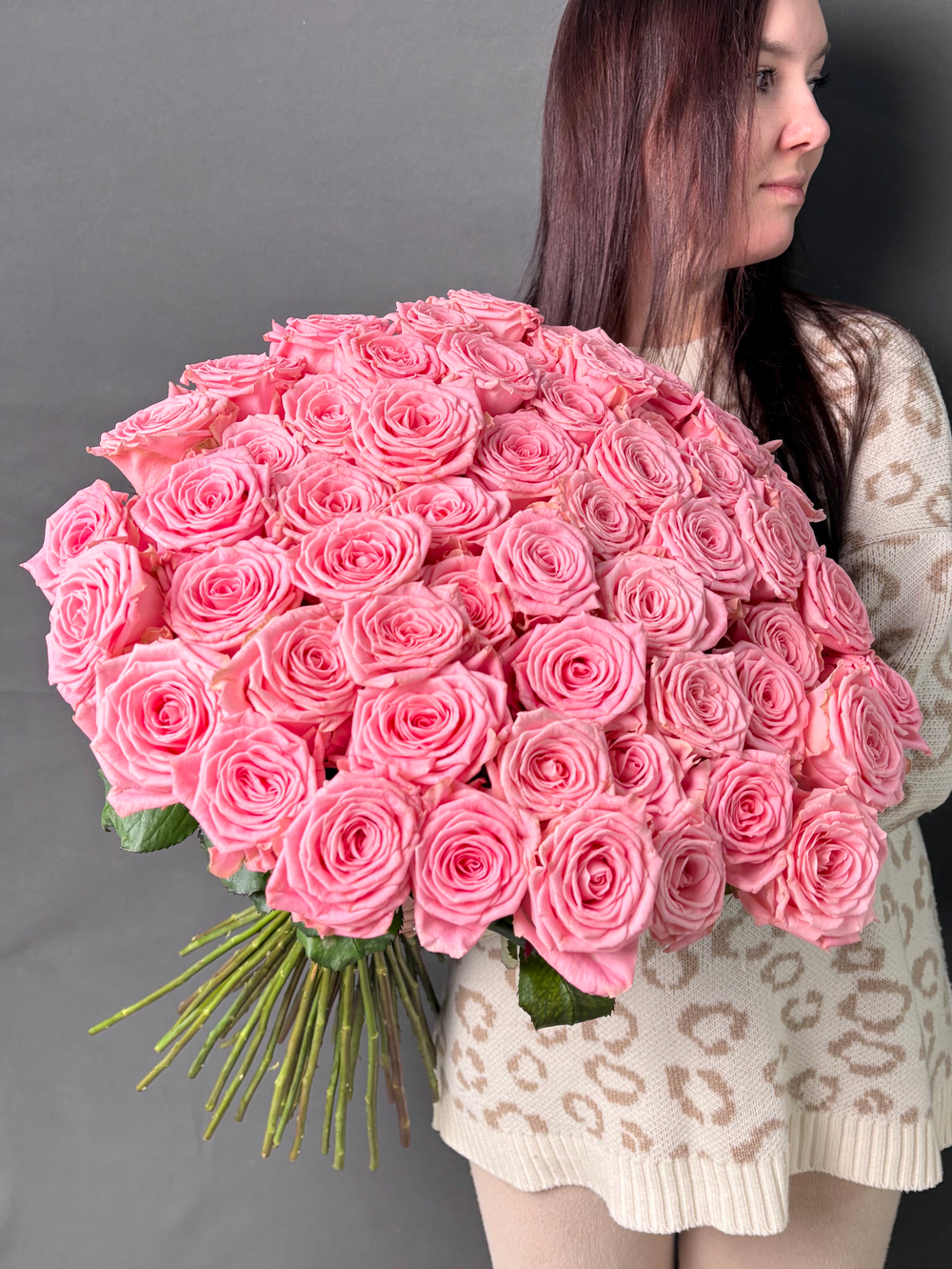 51 Роза «Софи Лорен» 60см,70см