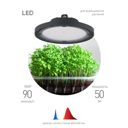 Фитопрожектор для растений светодиодный ЭРА FITO-50W-RB-LED-UFO красно-синего спектра 50 Вт IP65