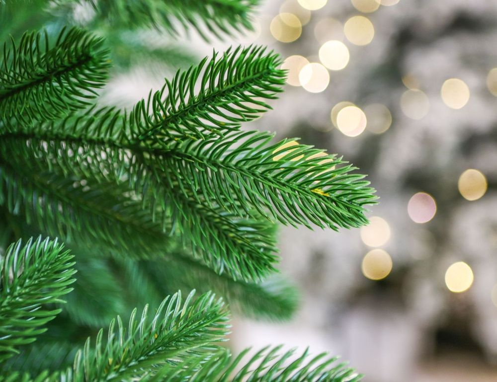 Ель искусственная «Изольда» (Литая хвоя) от 1,5 м до 2,7 м