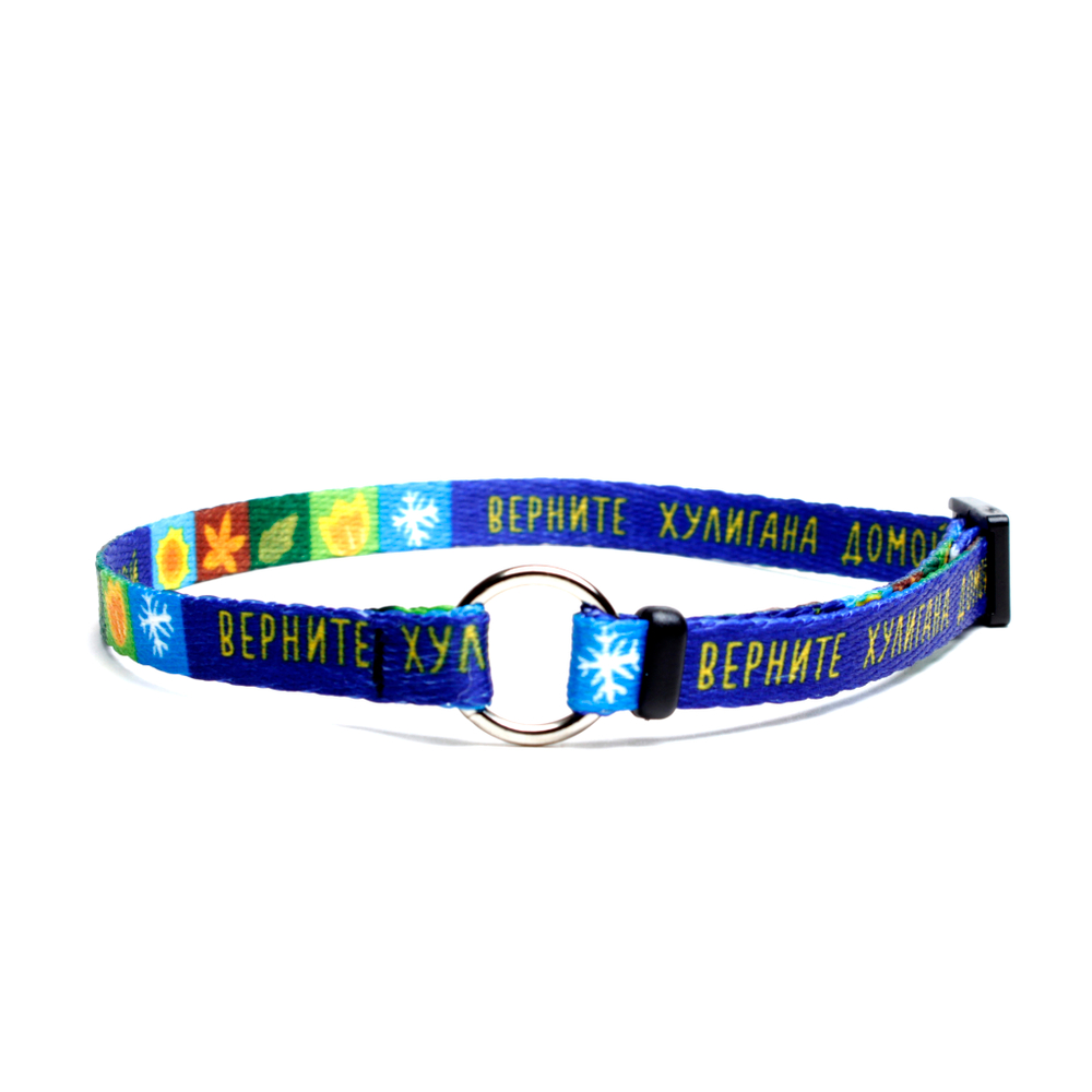 Шнурок для адресника DOGLEA COTTON ВЕРНИТЕ ХУЛИГАНА