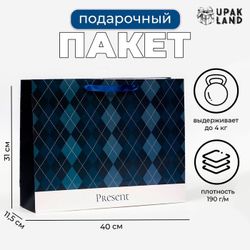 Пакет ламинированный горизонтальный «Клетка», 40 х 31 х 11,5 см.
