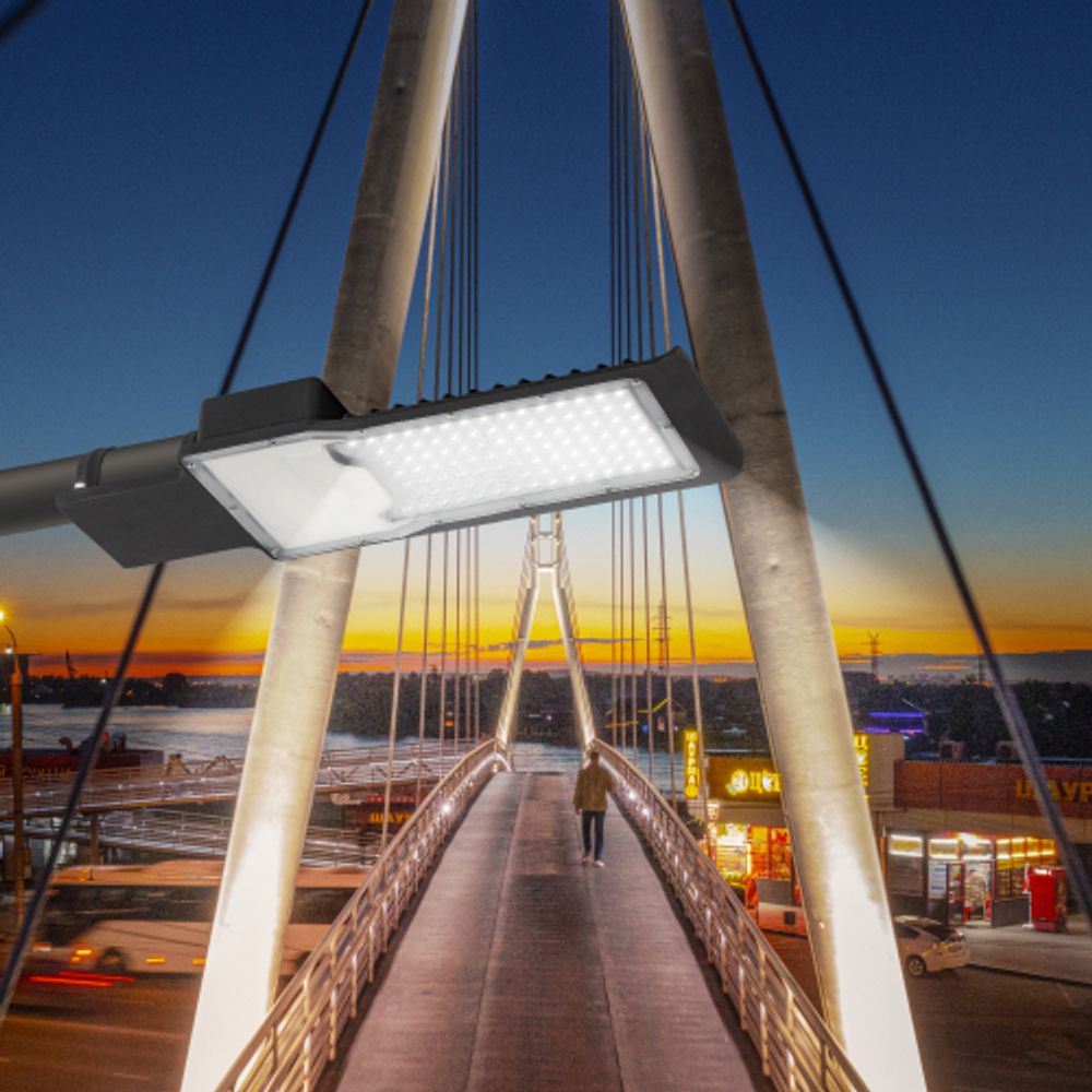 Светильник уличный светодиодный ЭРА SPP-503-0-50K-100 100Вт 5000К IP65 КСС Ш