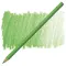 Rəngli karandaş \ Цветные карандаши Faber-Castell Polychromos Pencil - 166 Grass Green