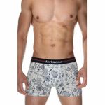 Трусы мужские боксеры фисташковые с принтом DARKZONE DZN2068