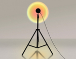 Настольная лампа декоративная Ambrella Light DE DE8387