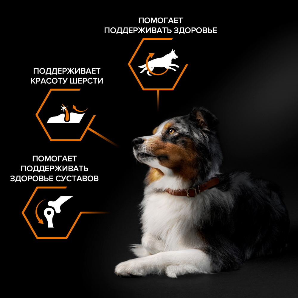 Сухой корм PRO PLAN EVERYDAY NUTRITION для взрослых собак средних пород курица 7 кг