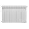 Радиатор Royal Thermo BiLiner 500 /Bianco Traffico VDR - 10 секц. — (1)