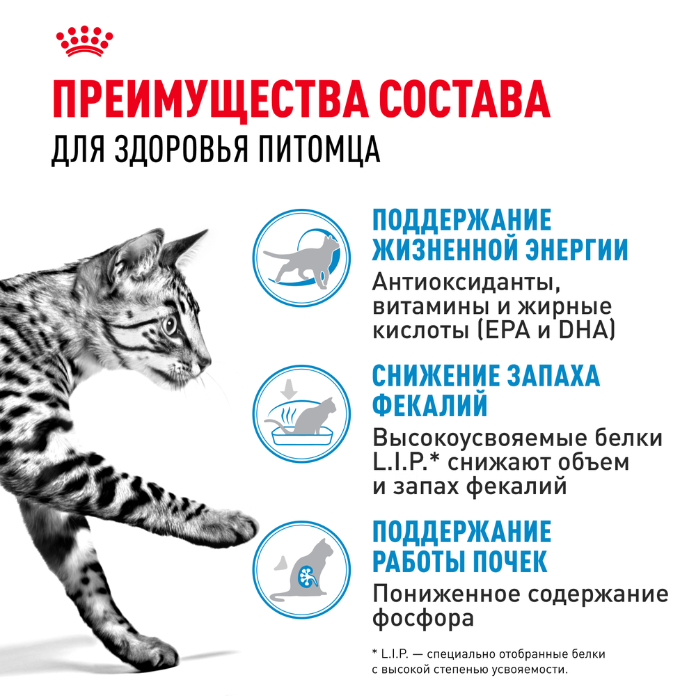 Корм для кошек Royal Canin Indoor 7+ сухой сбалансированный для cтареющих кошек,живущих в помещении - 2 кг