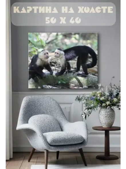 Картина на стену 40 X 50 Обезьянки