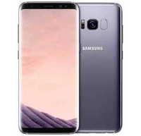 Ремонт телефона Samsung S8+ (G955)