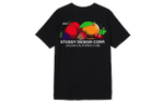 Футболки Stussy Fresh Fruit T, 1904542