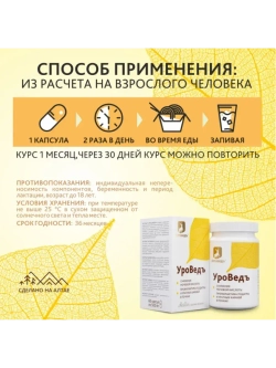 УроВедъ Для нормализации уровня мочевой кислоты Ортосифон