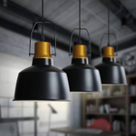 Подвесной светильник Moderli V1440-1P Felex