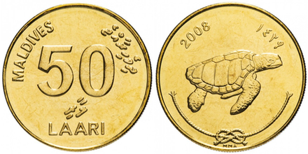 Мальдивы 50 лари, 2008 Черепаха XF