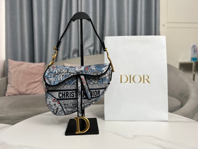 Christian Dior Saddle 25 cm