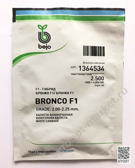 БРОНКО F1 семена капусты белокочанной (Bejo | Alexagro) – фото 3