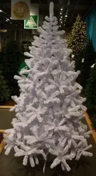 Елка Исландская белоснежная 425 см., интерьерная, мягкая хвоя, Triumph Tree (73096)