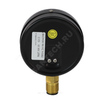 Манометр МаТ-100 радиальный Дк100мм 0-1,0 МПа кл.1,5 G1/2" Пензапромарматура 053102100