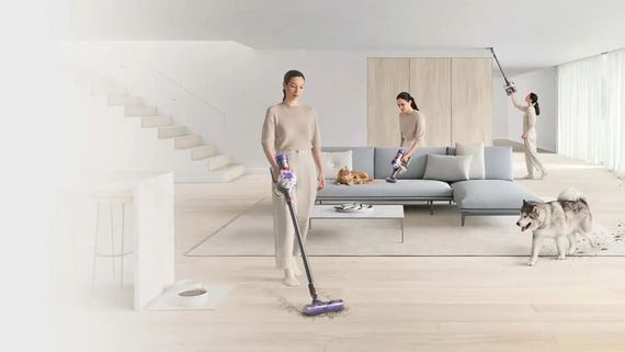 Пылесос Dyson V8 SV25 Silver Nickel