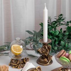 Лимонница Орхидея Лайм Бронза