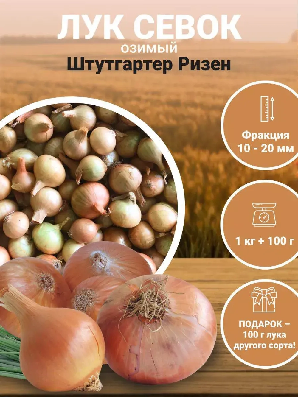 Лук севок озимый для посадки Штутгартер Ризен 1 кг
