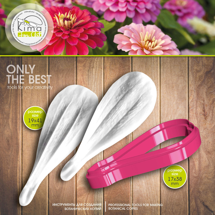 Цинния лепесток маленький