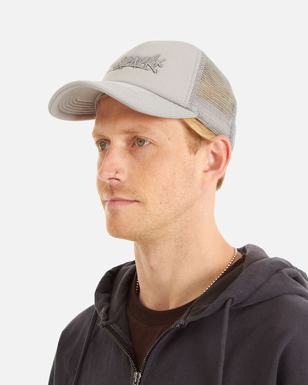 Кепка Anteater Trucker-Grey