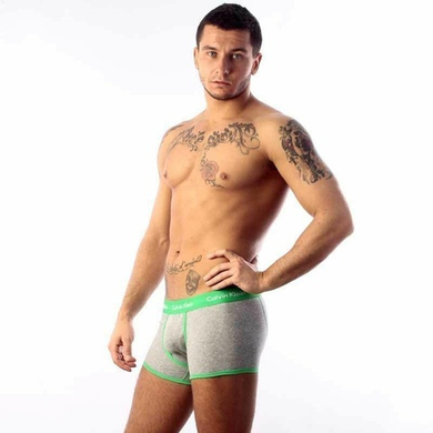 Мужские трусы боксеры Calvin Klein 365 Grey Green